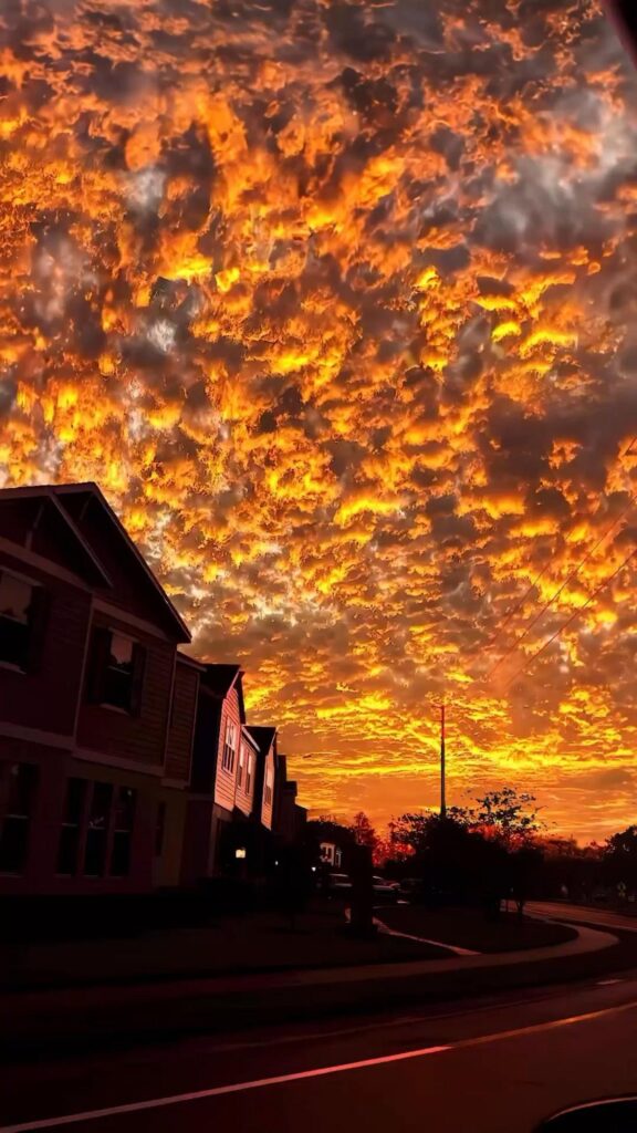 燃えるような雲が広がる夕暮れの住宅街