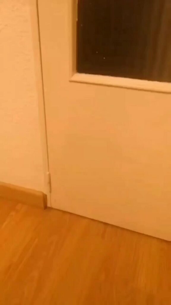 窓付きの白いドアと木目調の床