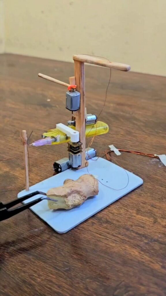 生姜に手術を施す手作りのロボット装置