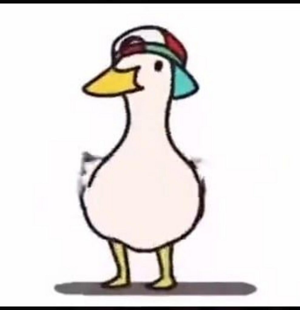 帽子を被った白いアヒルのイラスト