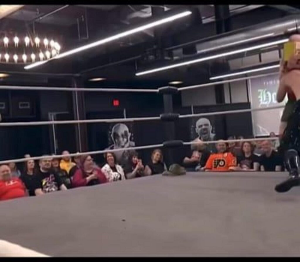 プロレスのリングと観戦する観客